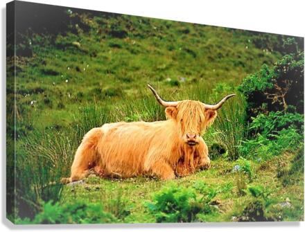 2257 Canvas Print