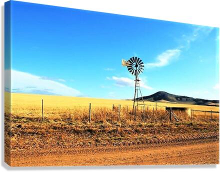 2258 Canvas Print