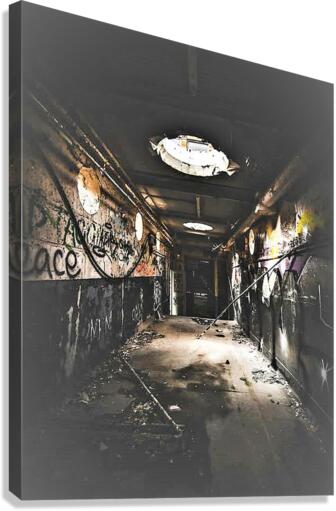 2260 Canvas Print