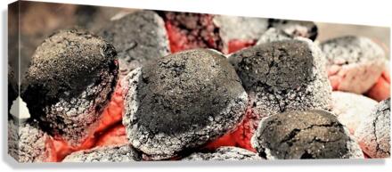 2266 Canvas Print