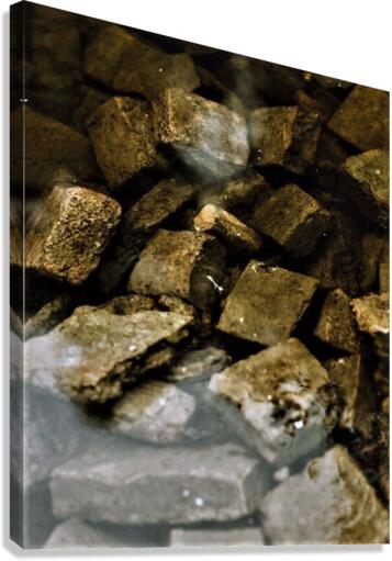 2274 Canvas Print