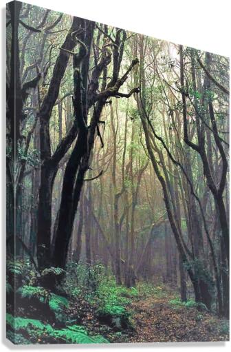 2283 Canvas Print