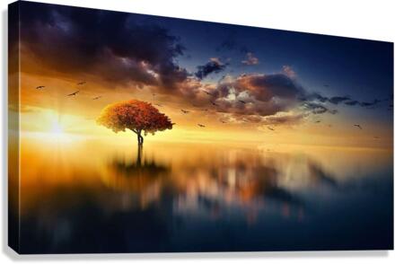 2284 Canvas Print