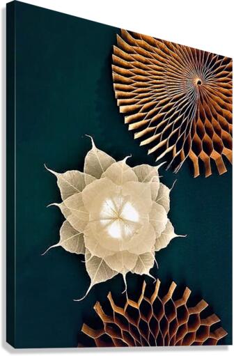 2285 Canvas Print