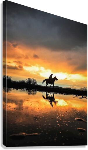 2288 Canvas Print