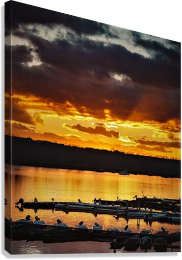 2301 Canvas Print
