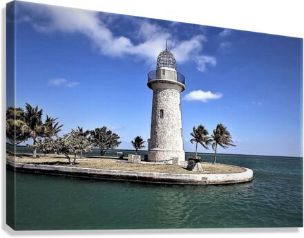 2302 Canvas Print