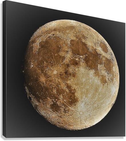 2310 Canvas Print