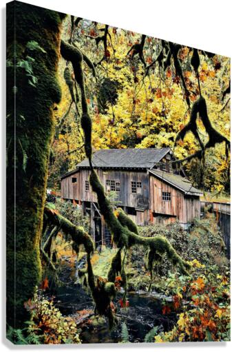 2312 Canvas Print