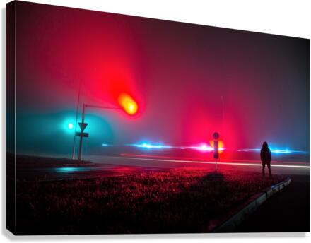2321 Canvas Print