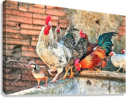 2324 Canvas Print