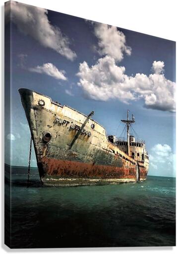 2327 Canvas Print