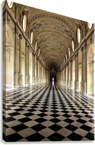 2233 Canvas Print