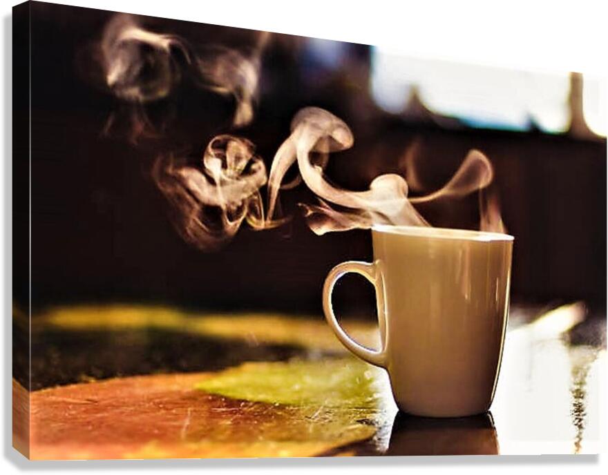 2342 Canvas Print