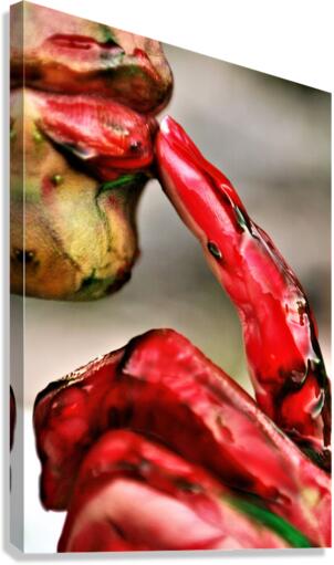 2343 Canvas Print