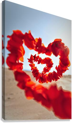 2349 Canvas Print