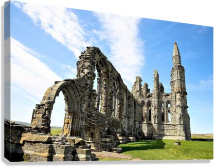 2351 Canvas Print