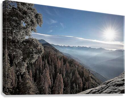 2352 Canvas Print