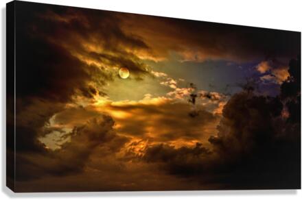2350 Canvas Print