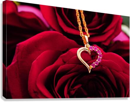 2355 Canvas Print