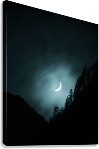2358 Canvas Print
