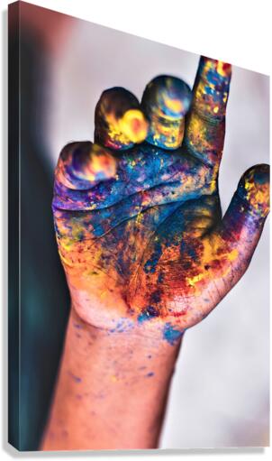 2360 Canvas Print