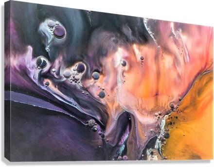 2362 Canvas Print