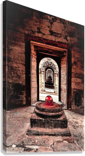 2364 Canvas Print