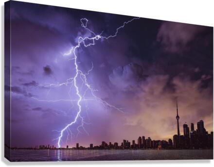 2367 Canvas Print