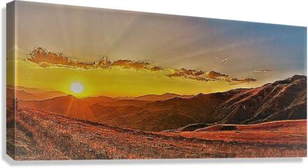 2373 Canvas Print