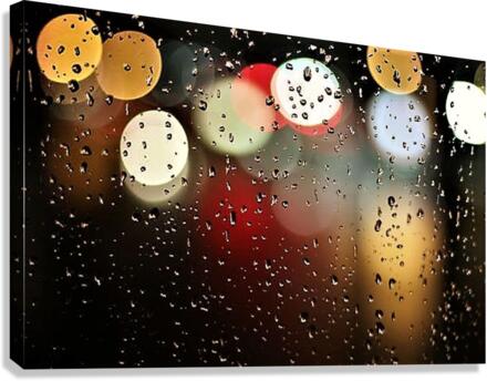 2374 Canvas Print