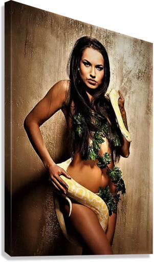 2380 Canvas Print