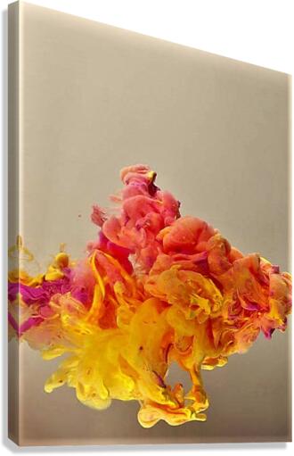 2389 Canvas Print