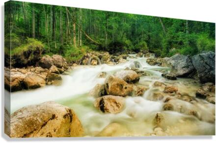 2390 Canvas Print