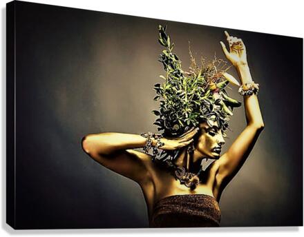2395 Canvas Print