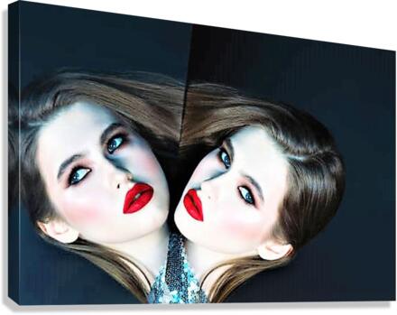 2397 Canvas Print