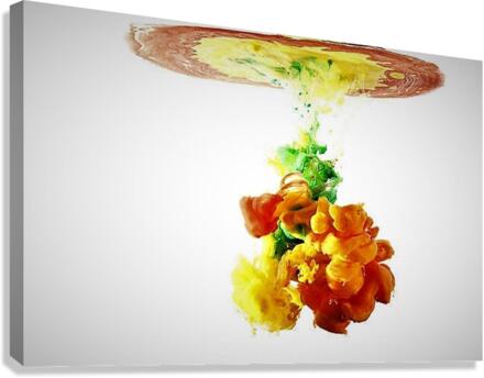 2399 Canvas Print