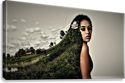 2400 Canvas Print