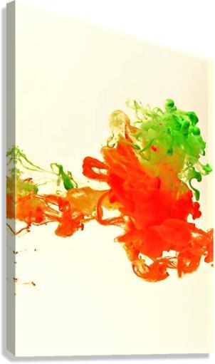 2403 Canvas Print