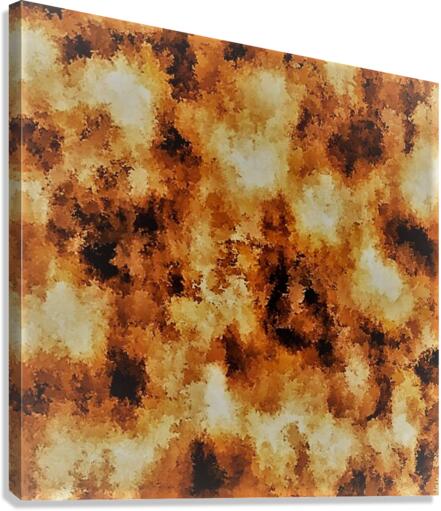 2410 Canvas Print