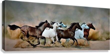 2415 Canvas Print