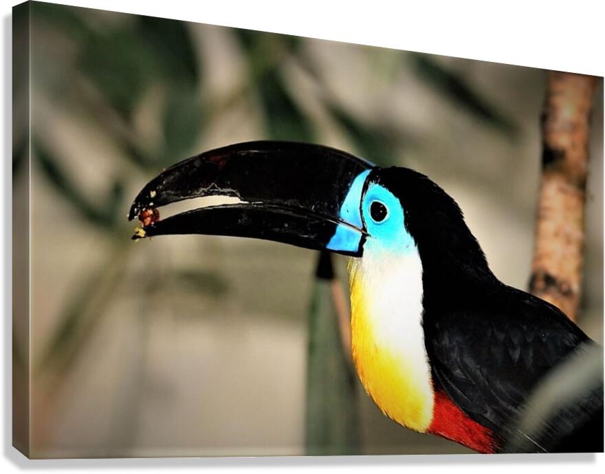 2418 Canvas Print
