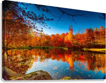 2423 Canvas Print