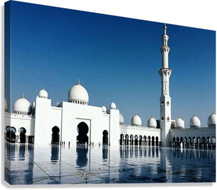 2424 Canvas Print