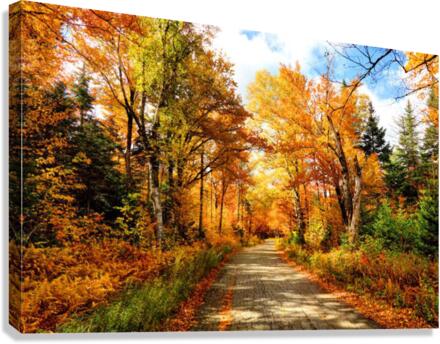 2430 Canvas Print