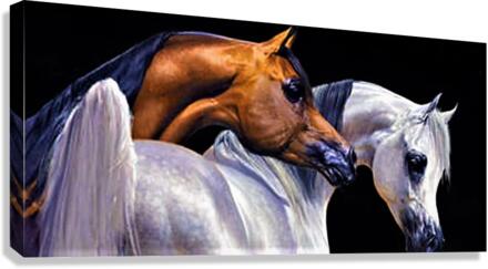 2433 Canvas Print