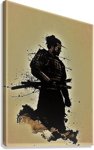 2436 Canvas Print