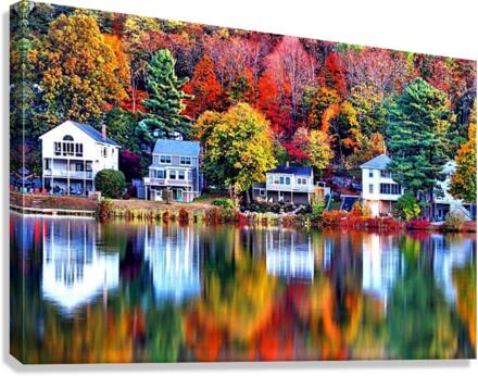 2447 Canvas Print