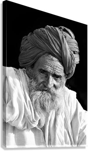 2451 Canvas Print