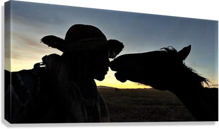 2455 Canvas Print
